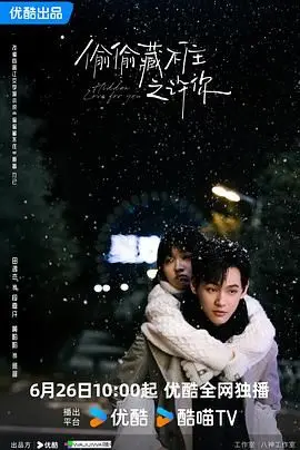 《偷偷藏不住之许你》：甜宠升级，双向奔赴的爱情童话，谁看了不说一句“awsl”！