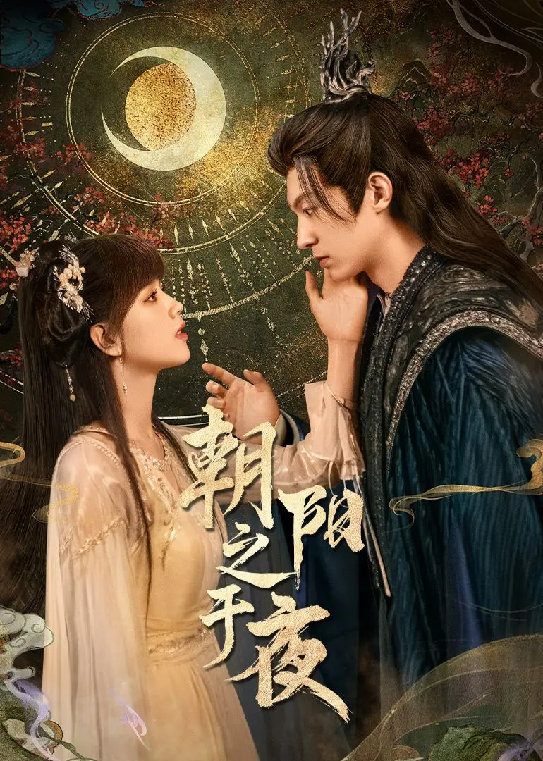 《朝阳之于夜》：一部关于中年女性成长与自我救赎的治愈系都市情感剧